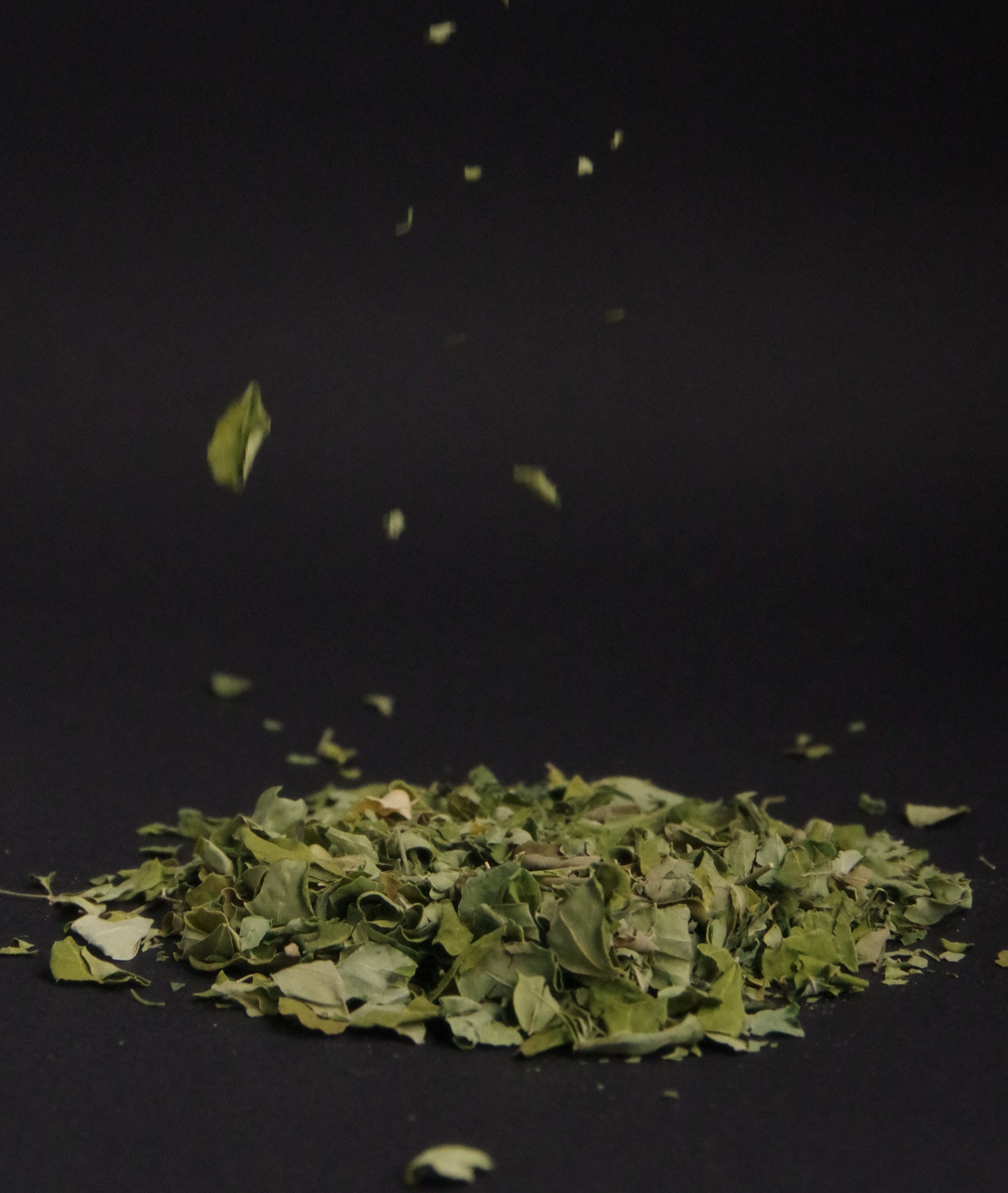 En este momento estás viendo Beneficios de las hojas de Moringa para tu salud